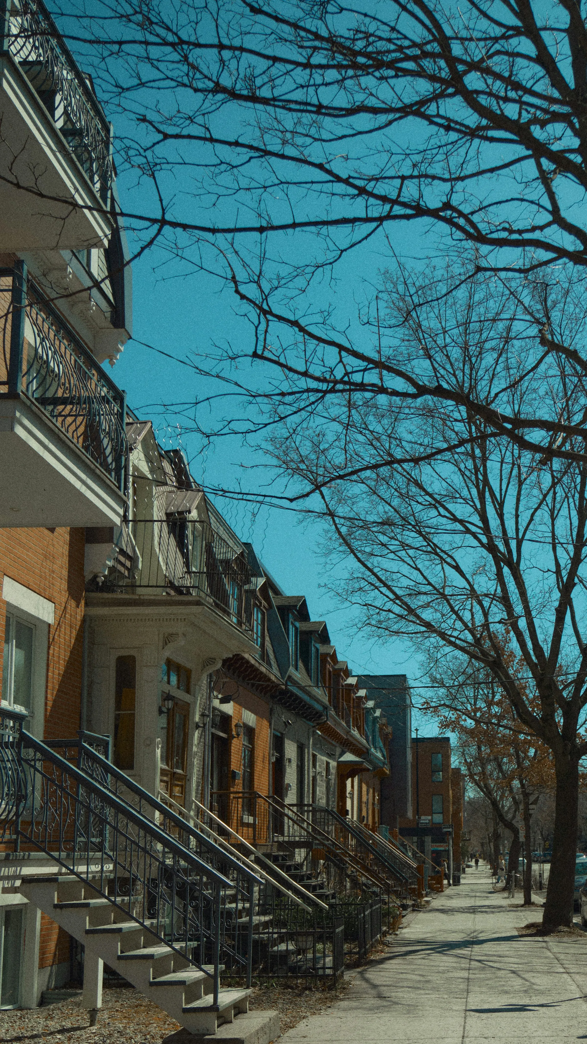 Rangée de maisons sur une rue de LaSalle