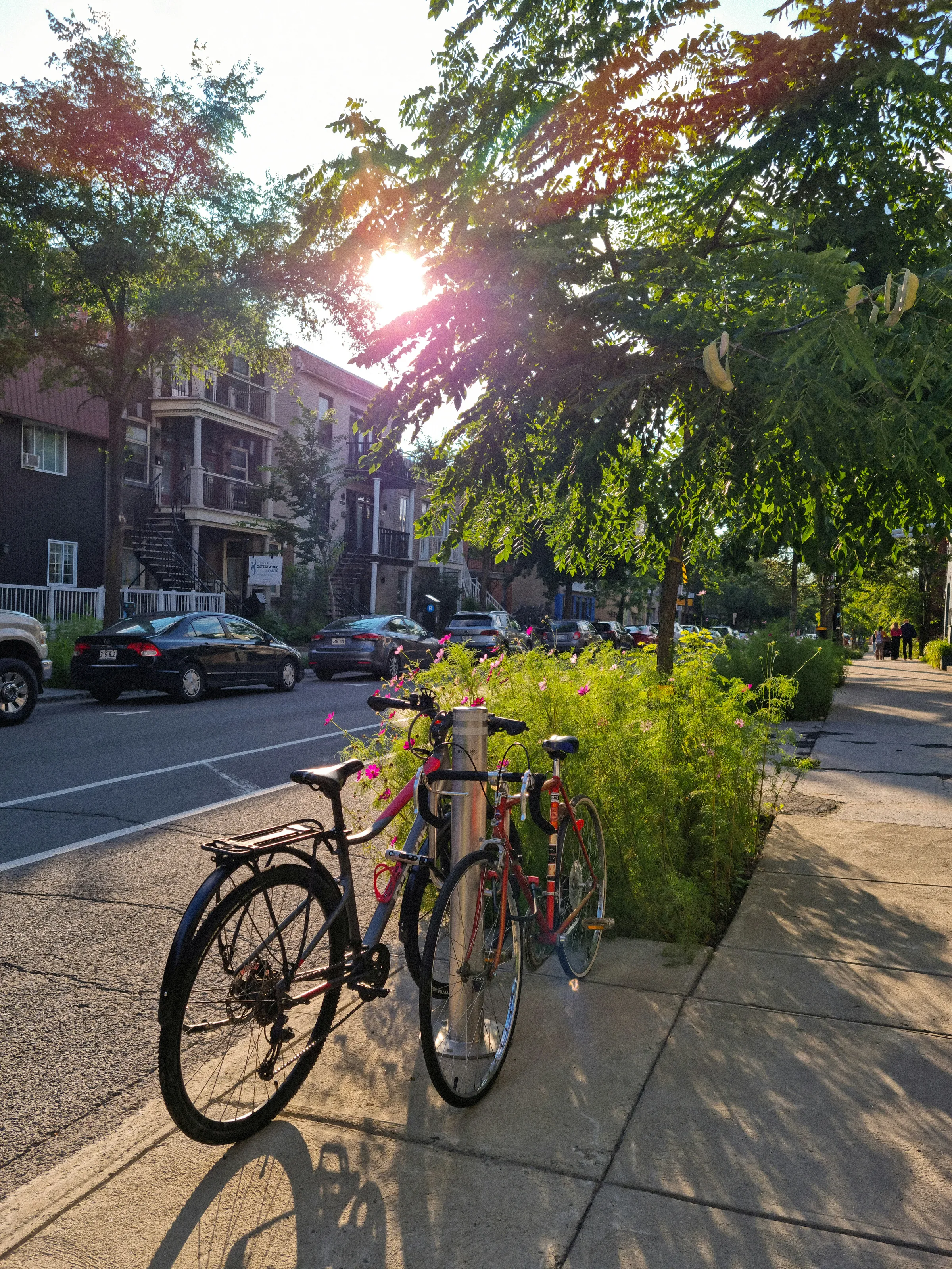 Plateau-Mont-Royal, Montréal, Canada