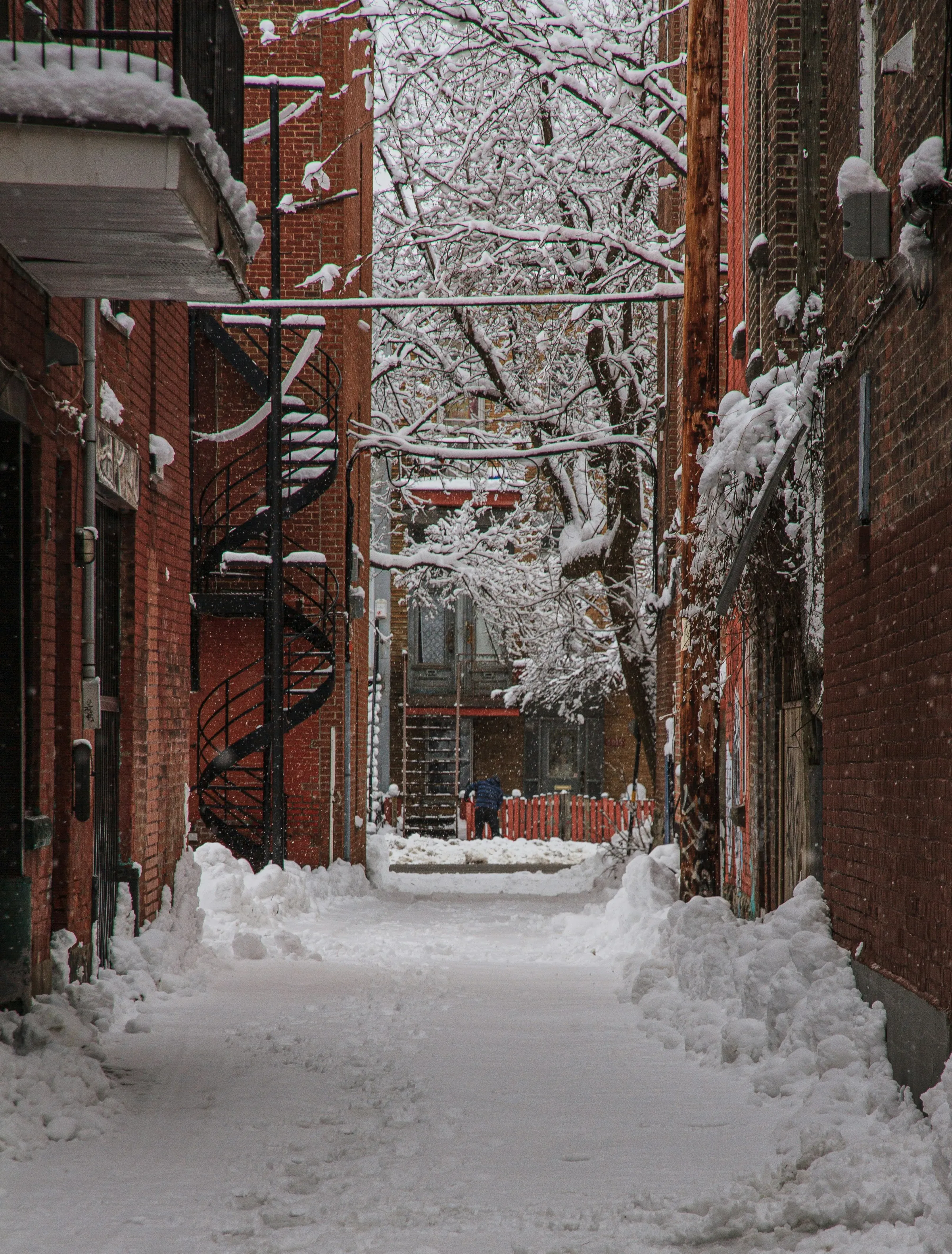Plateau-Mont-Royal, Montréal, Canada