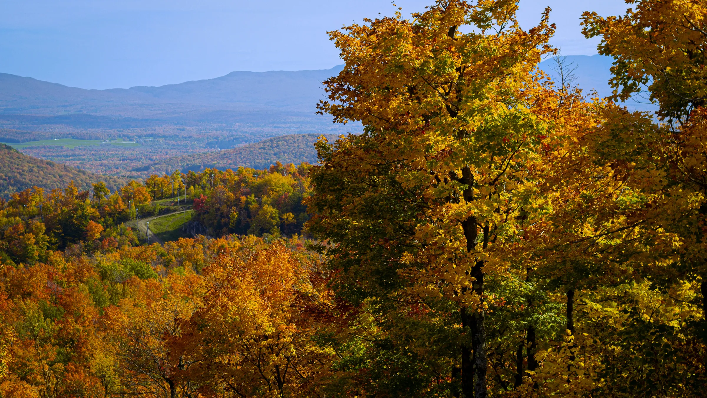 a scenic view of a valley surrounded by trees