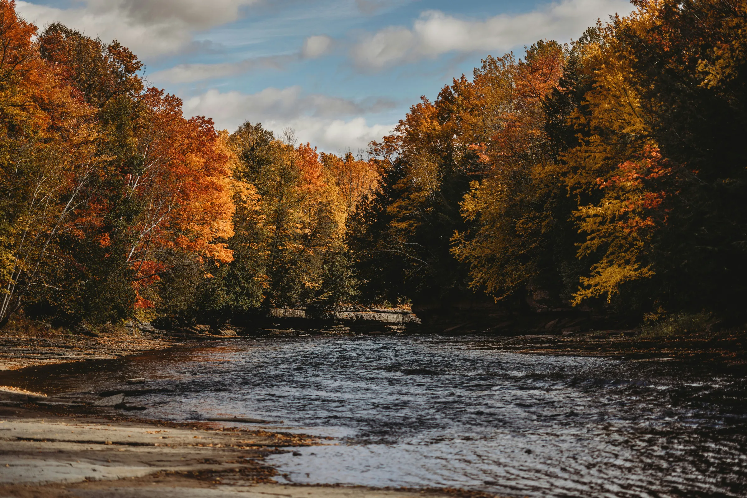 a river with trees around it