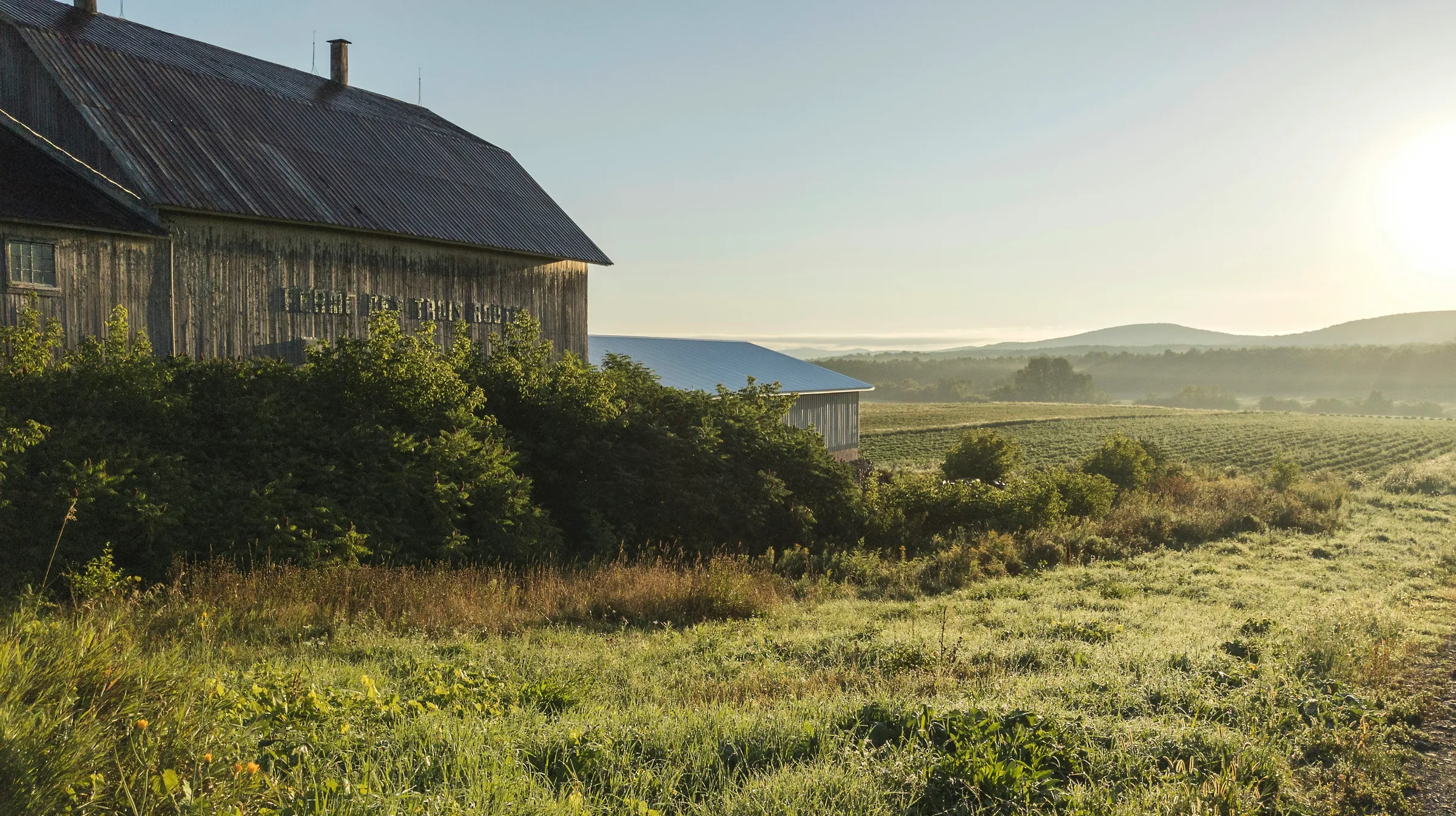 Maison en bois brun sur un champ de gazon vert