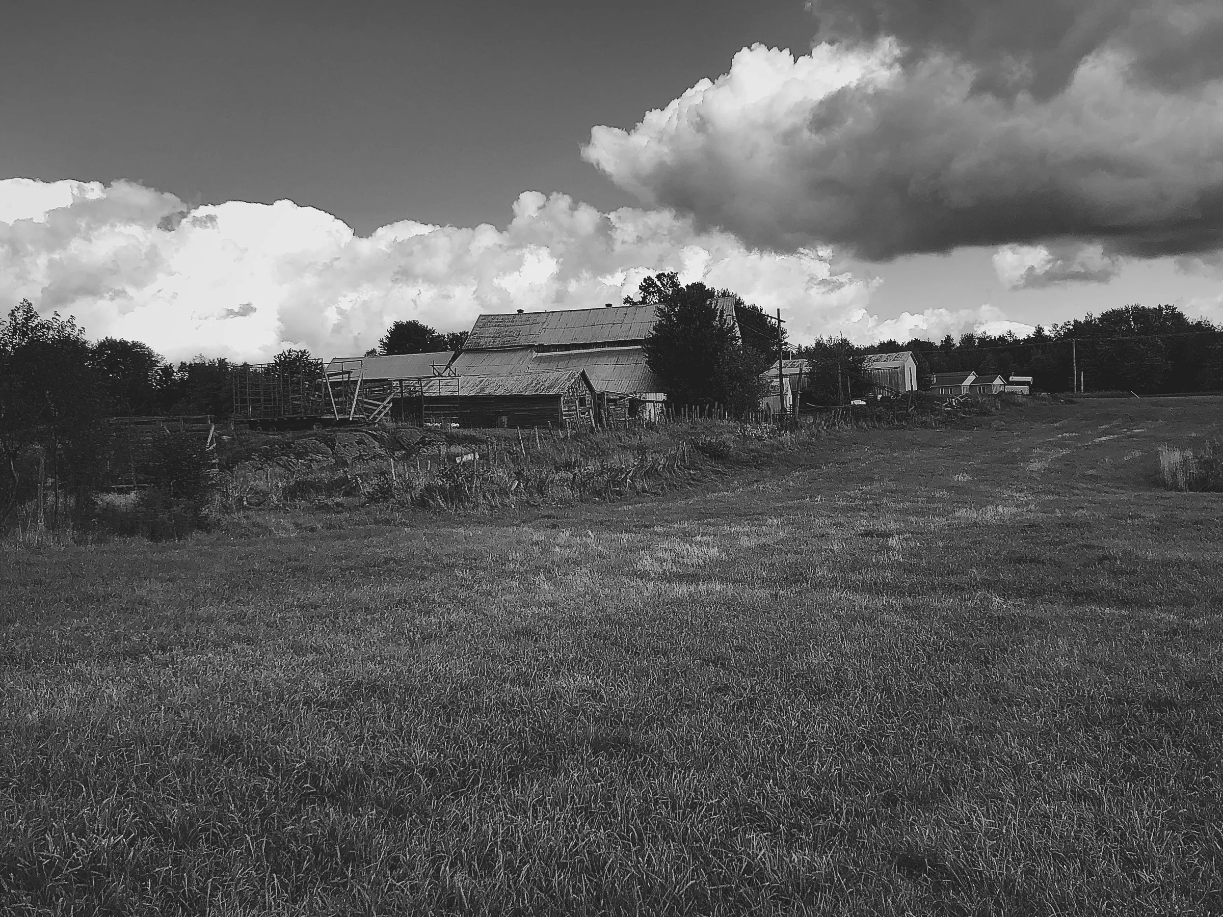 a large field with a house in the background