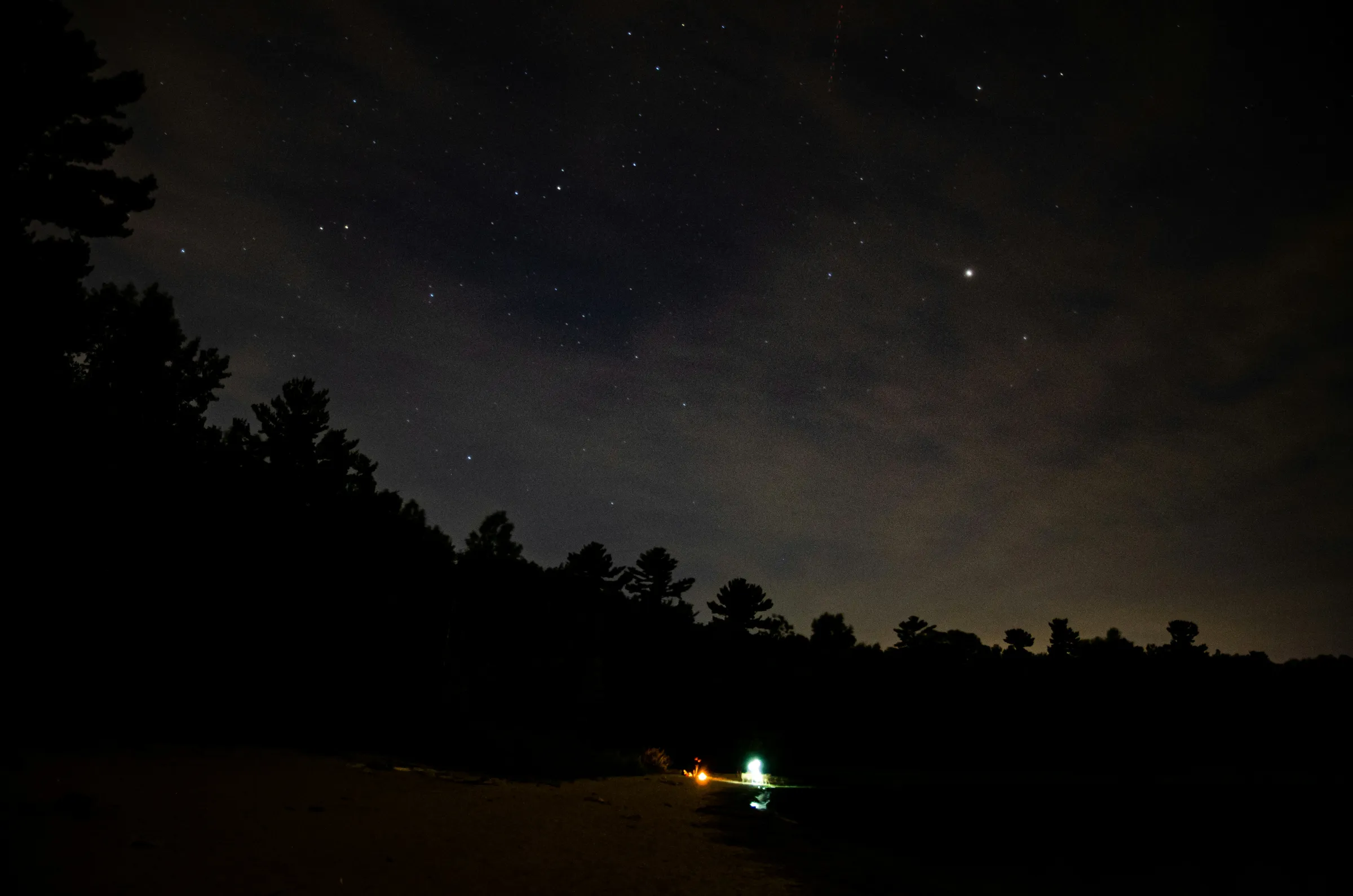 silhouette of trees during night time