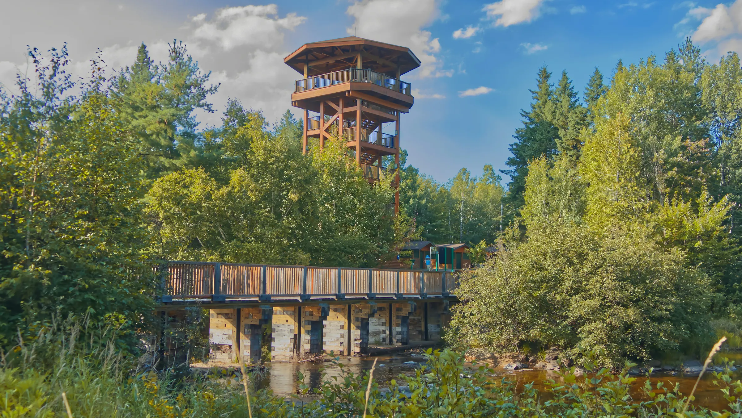 a water tower in the middle of a forest