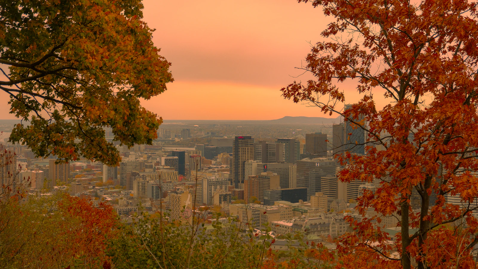 Mont-Royal