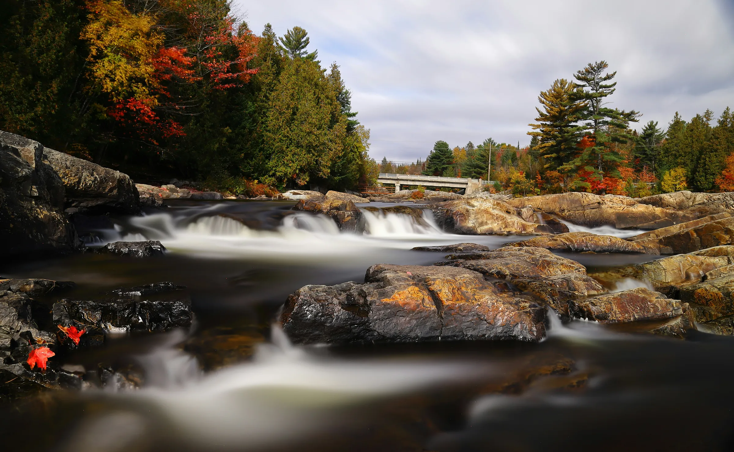 a river running through a forest filled with lots of rocks