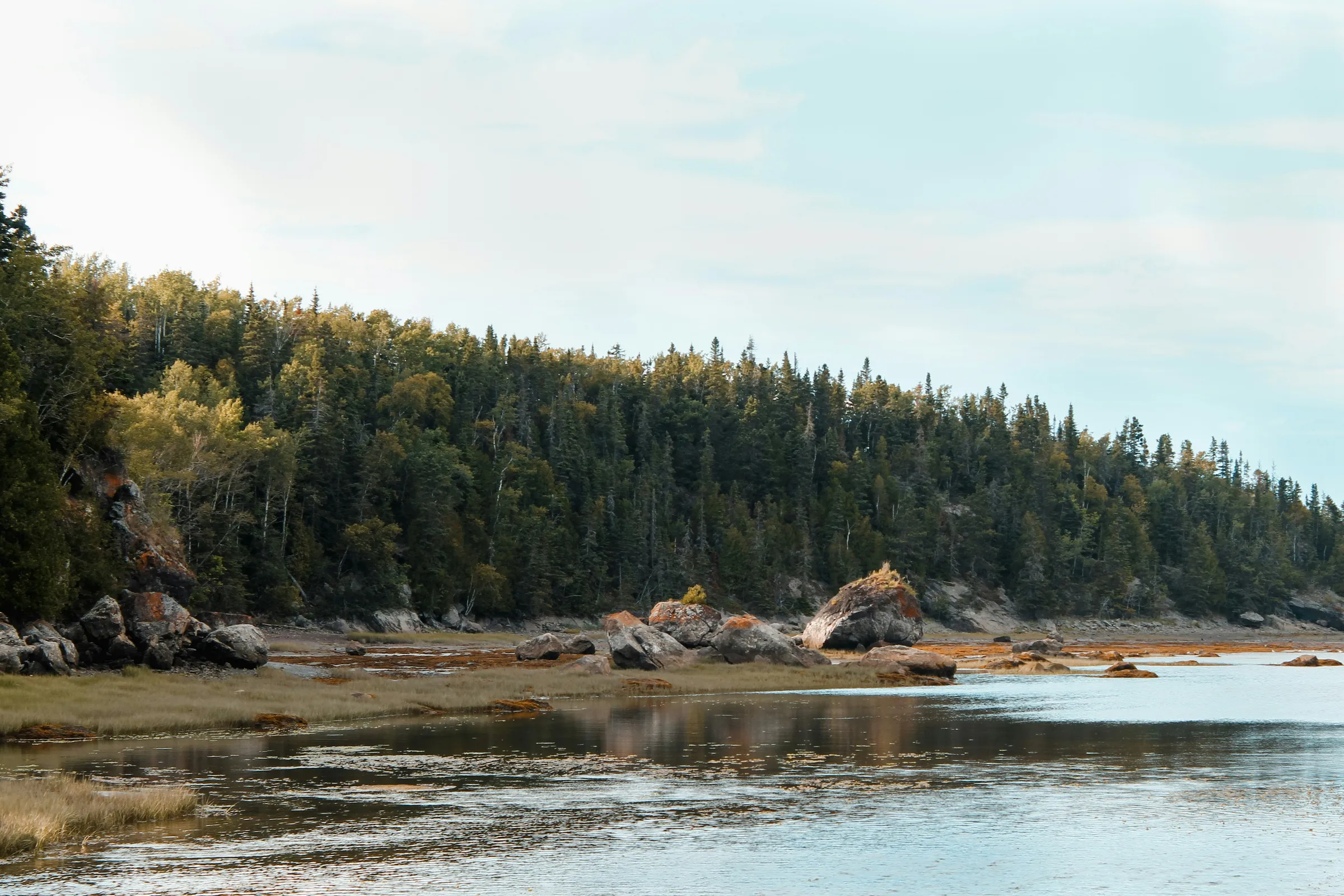 a large body of water surrounded by trees