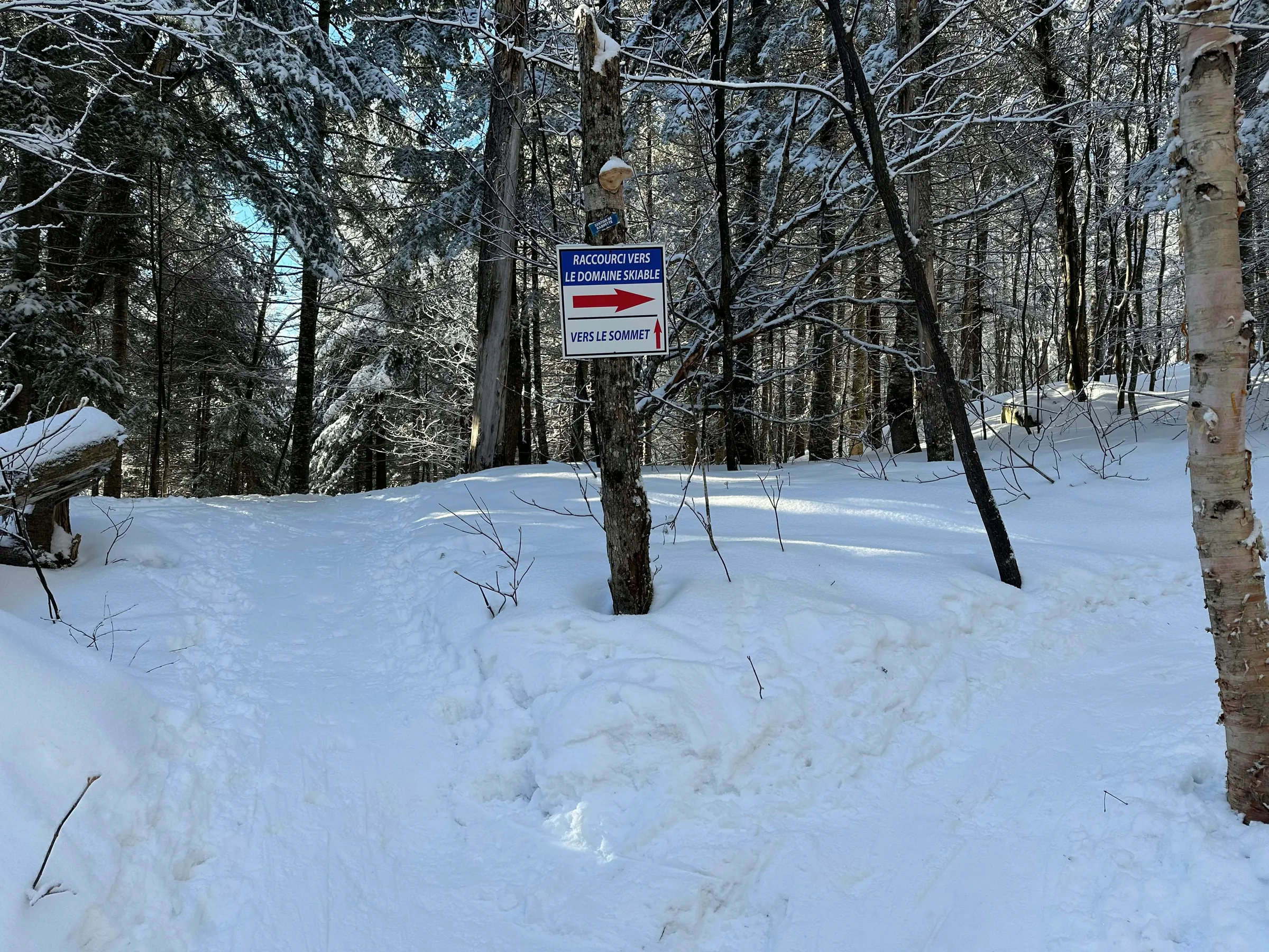 a sign on a pole in the middle of a snowy forest