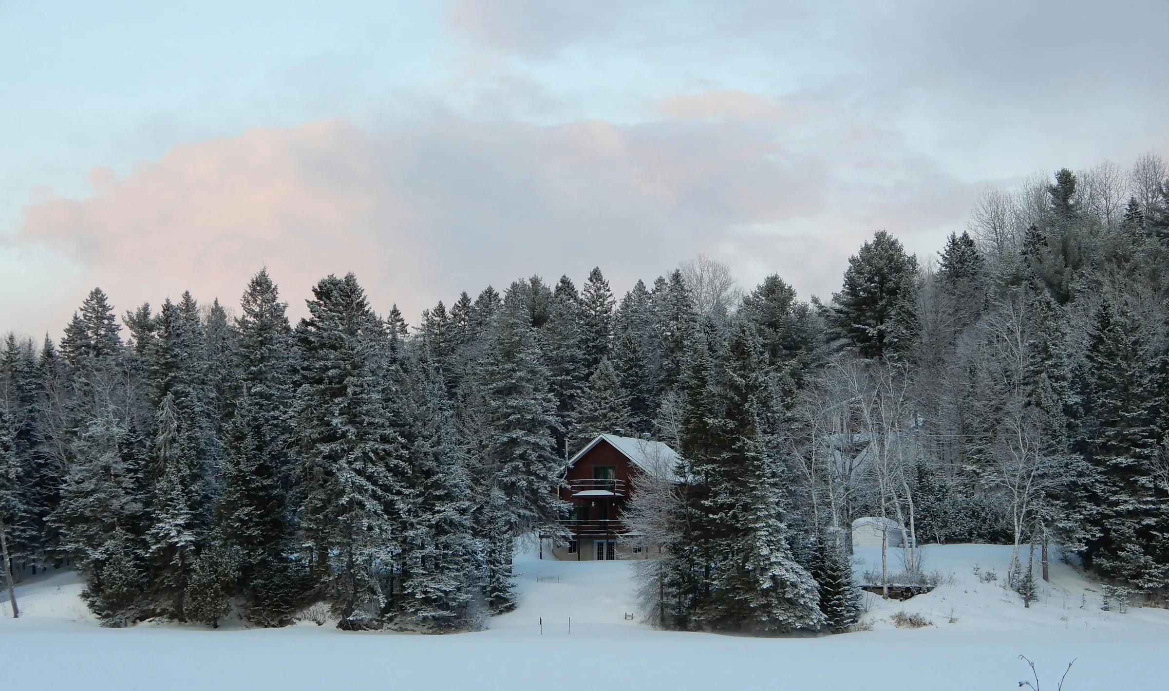 snow covered trees and house during daytime