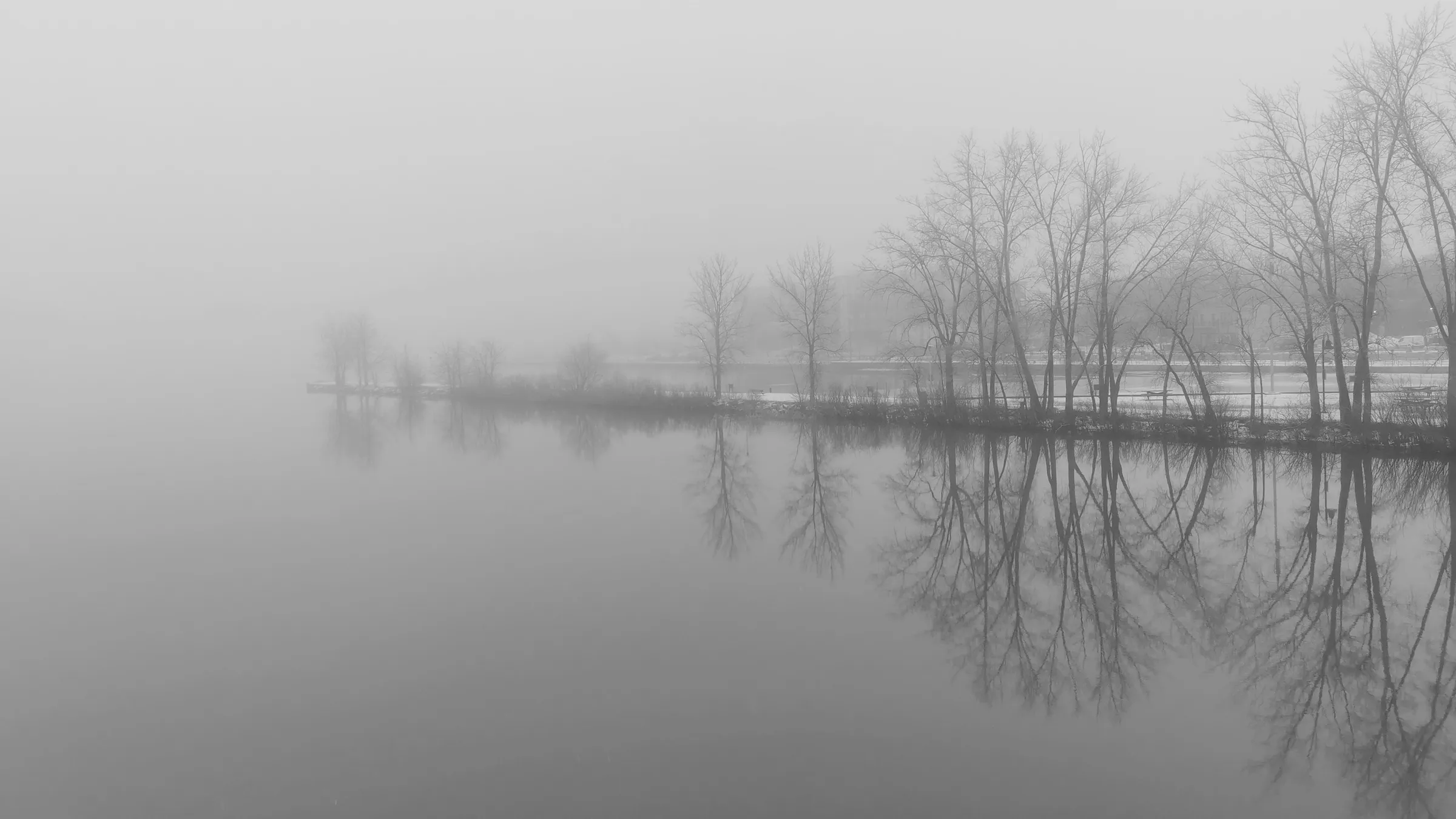 a body of water surrounded by trees on a foggy day