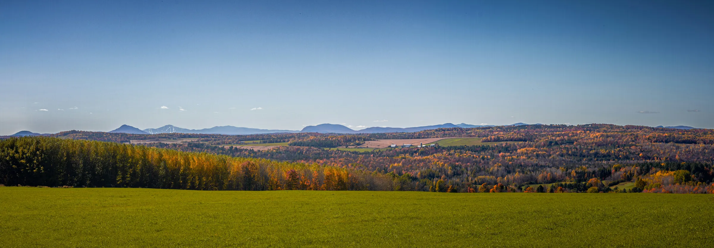 A green field with mountains in the background