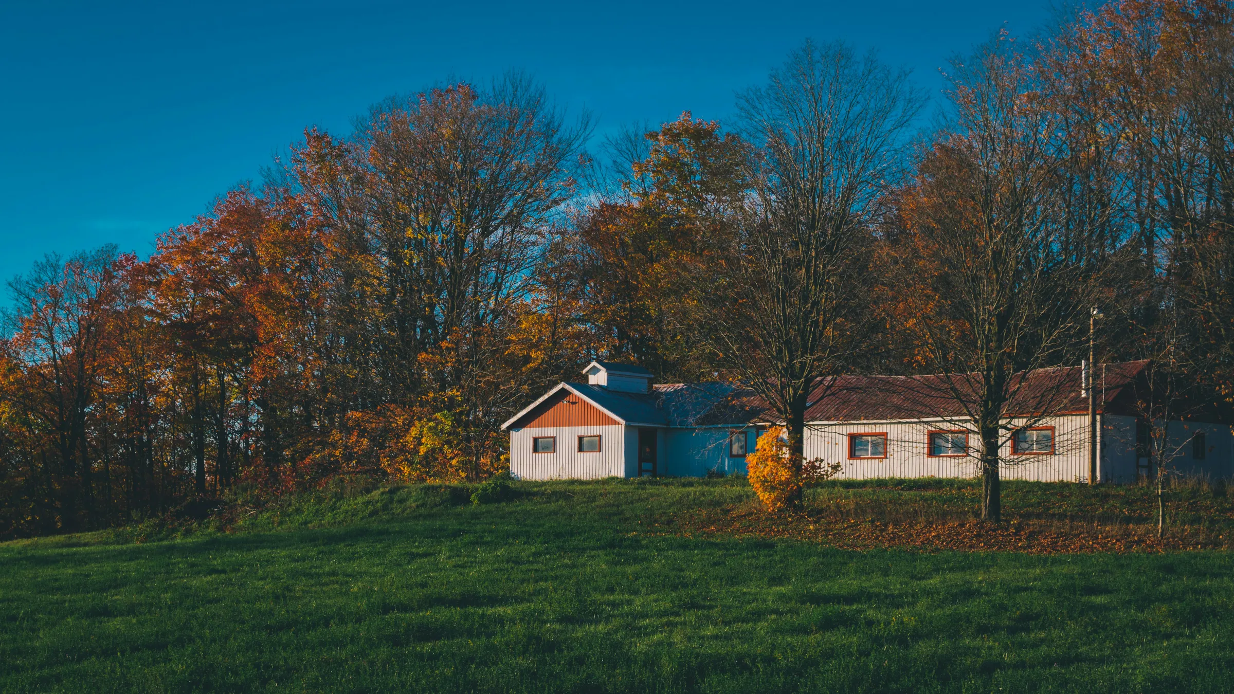 a white house sitting on top of a lush green field