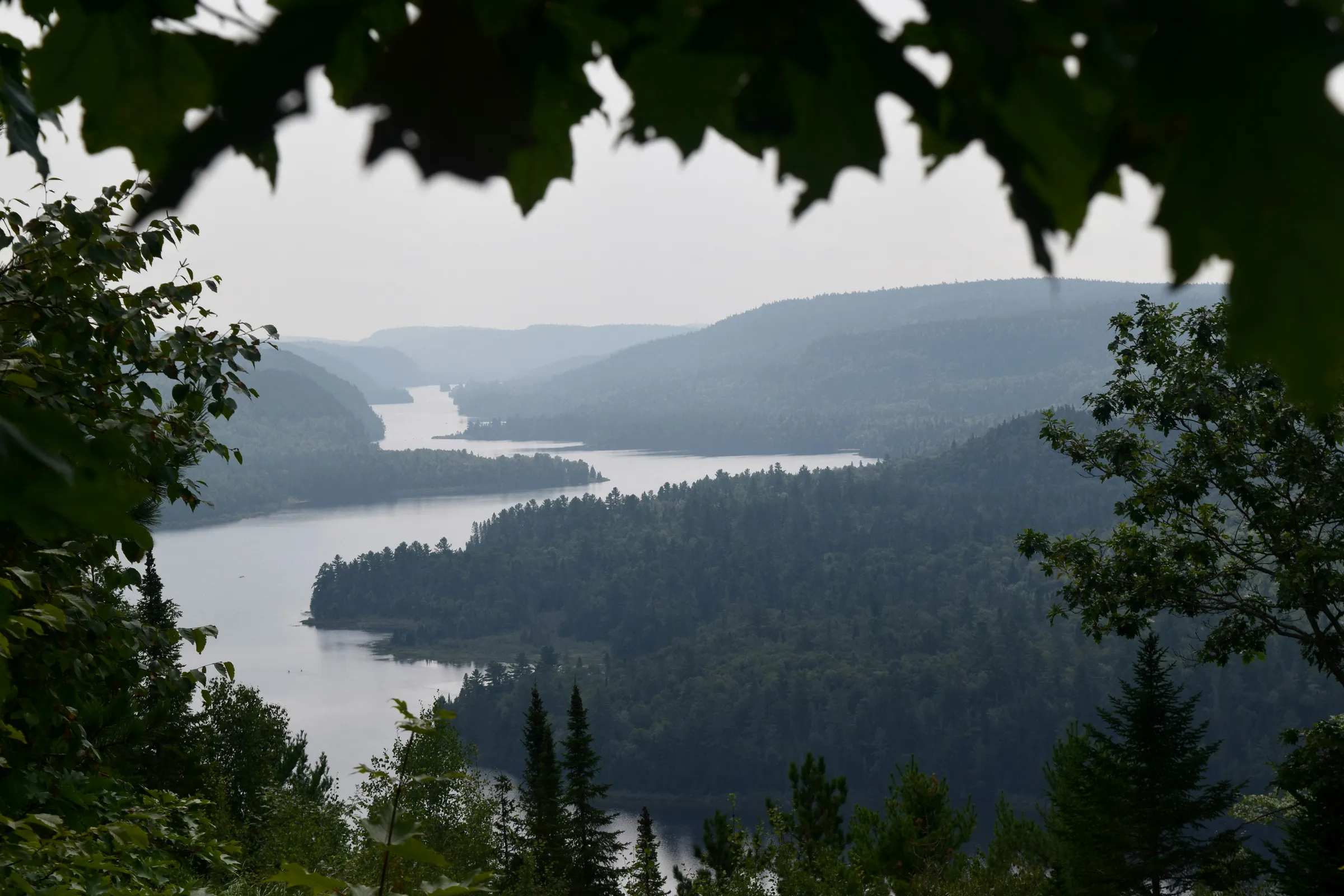 a view of a lake through some trees